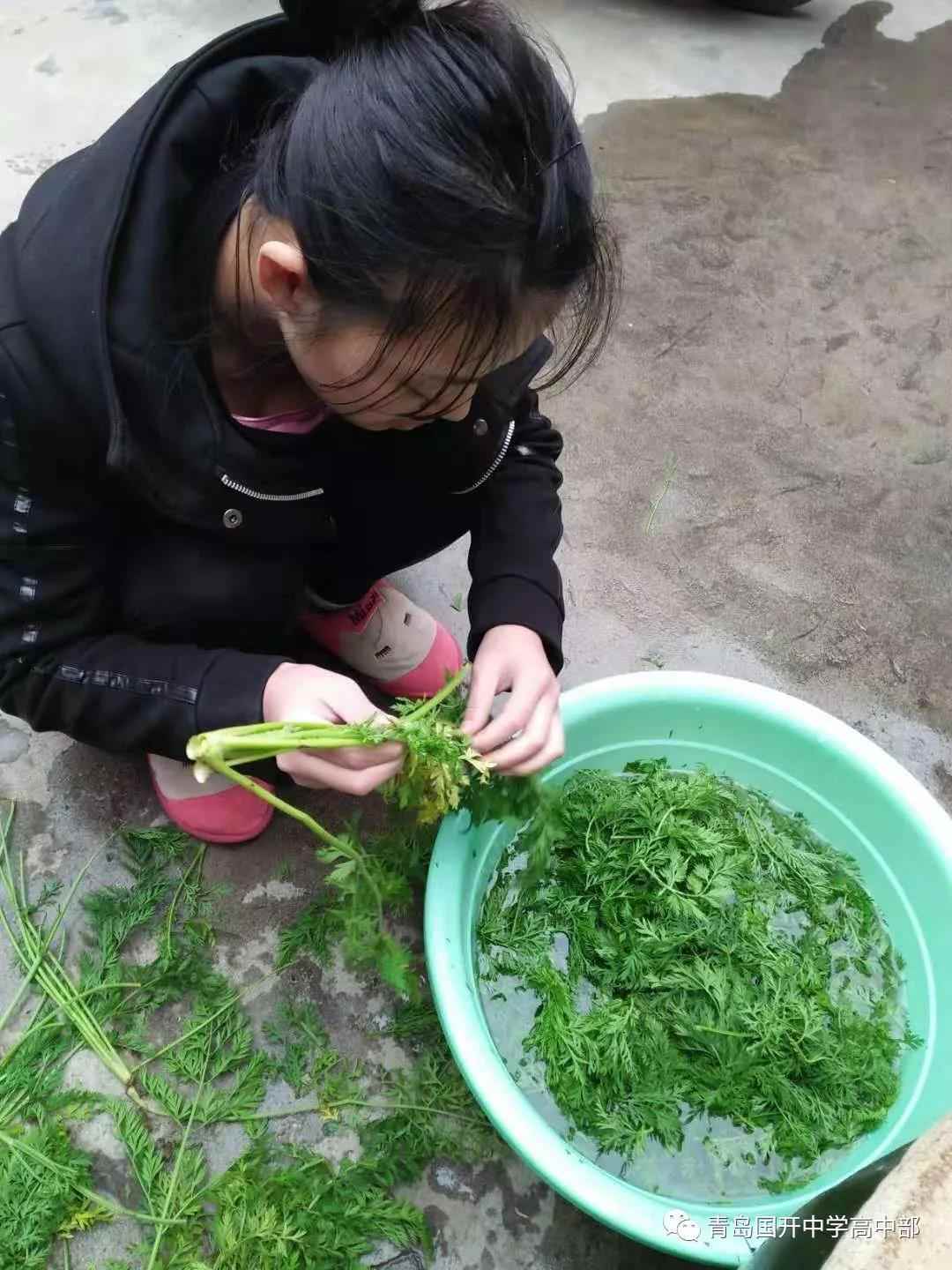 1552096932550155.jpg 微信图片_20190309100052.jpg