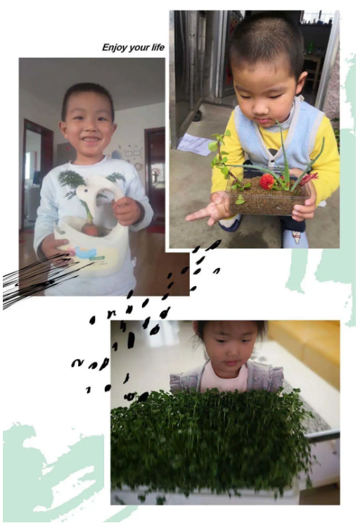 1589014043126470.png image.png